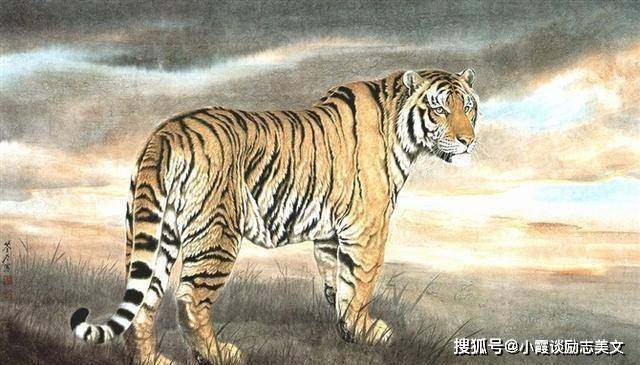 春水来打一生肖、成就解释落实 春水来打一生肖、成就解释落实