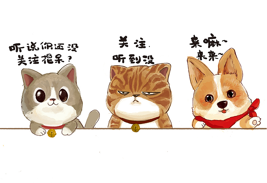 阿猫阿狗打一生肖、深度解析与落实