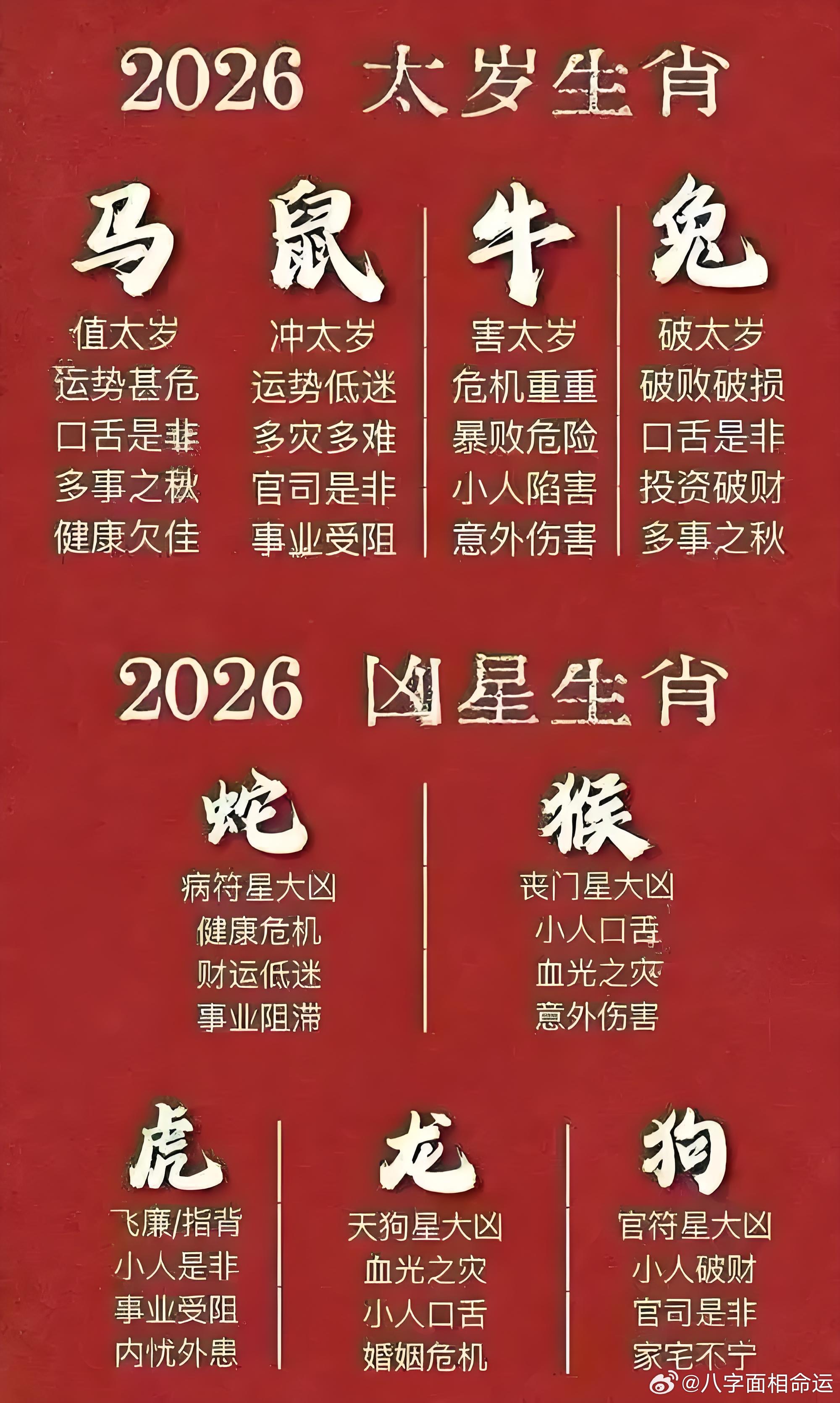 前呼后拥的生肖奥秘，精选解析与落实的详细结果