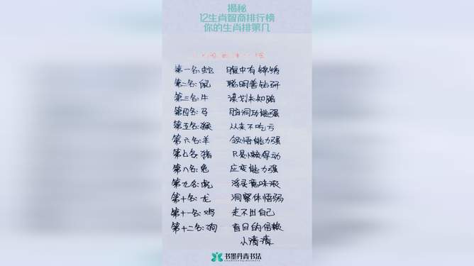 蛋的智慧与生肖的奥秘，友爱作答，落实解释