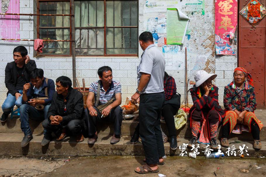 鸡兔狗蛇打一生肖、定量解释落实