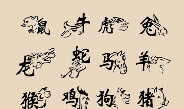 脋少如柴，生肖之谜的温馨解析与文化解答