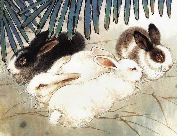 淋字打一生肖,兔—柔中带刚,静水深流的哲理 淋字打一生肖,兔—柔中带刚,静水深流的哲理