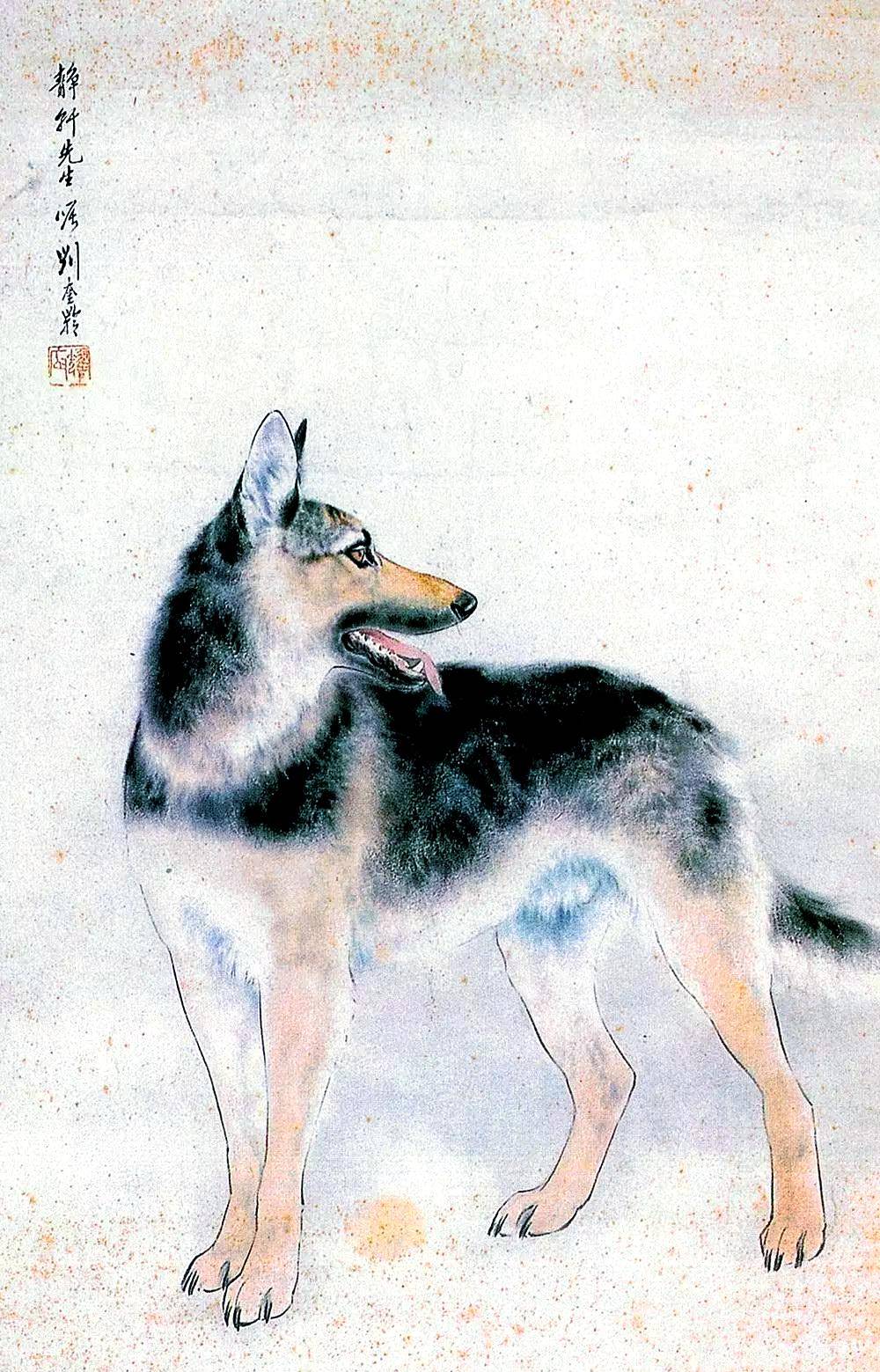 跑狗图与生肖之谜，字里行间的生肖揭秘