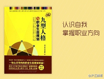 安排是马打一生肖，深度解析与落实