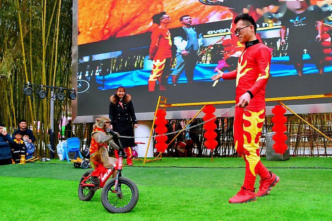 马去羊来打一生肖、科技赋能下的传统运动文化新解 马去羊来打一生肖、科技赋能下的传统运动文化新解