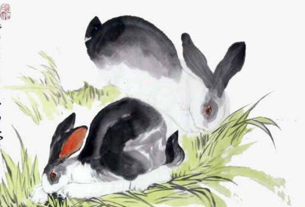 家中有喜事—生肖兔的温馨故事与深刻寓意