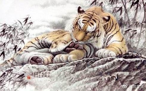 功高盖主打一生肖，和谐共舞的智慧与启示