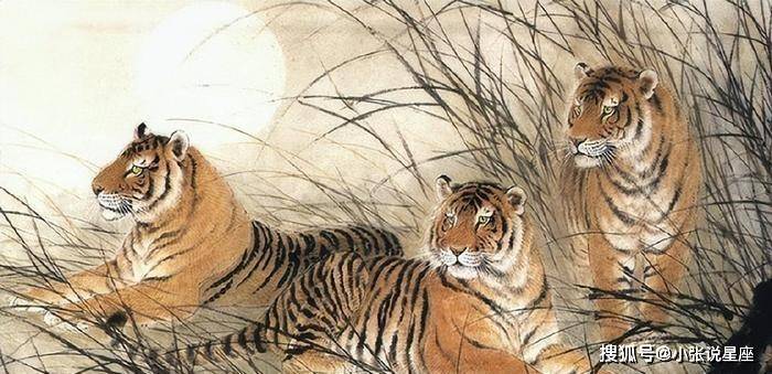 一口吸尽西江水打一生肖、深度解析与落实