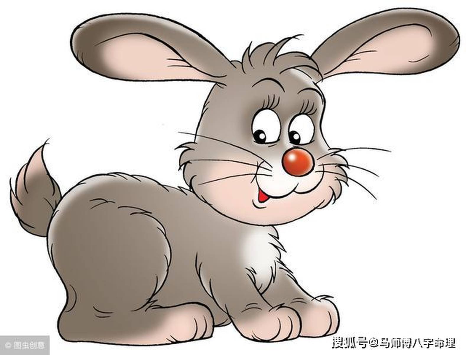 百里挑一的生肖，揭秘属兔人的独特魅力与性格解析