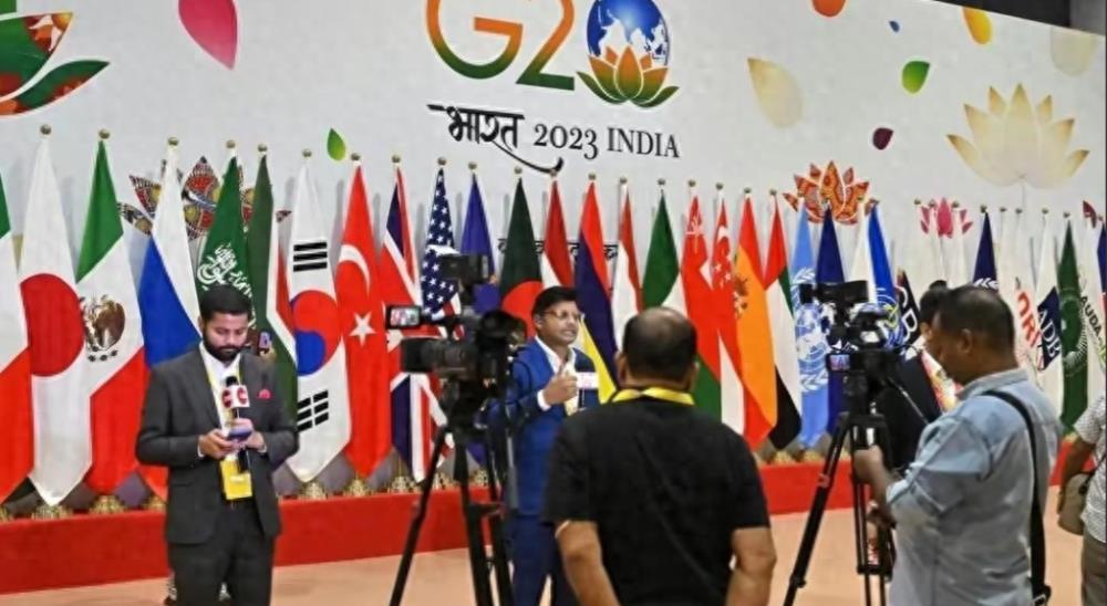 大海一针打一生肖、通用解释落实