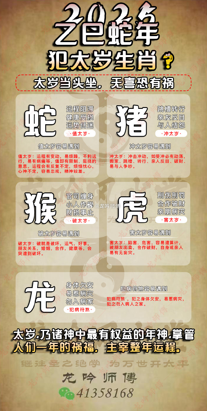 龙蛇百战争天下打一生肖最佳答案、谁来落实解答？