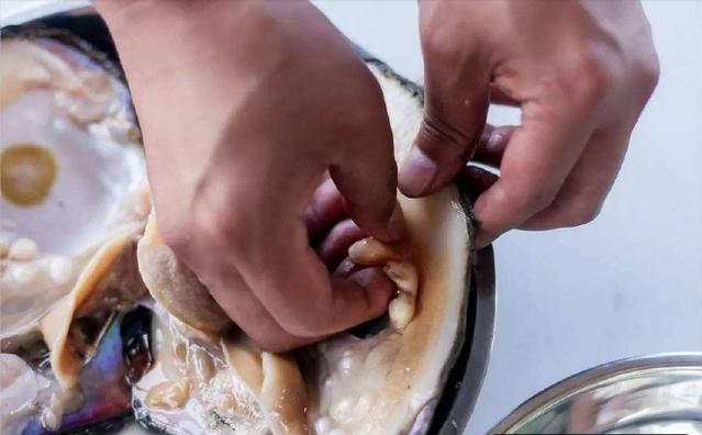 蚌病生珠打一生肖、能人解释与现代生活的落实