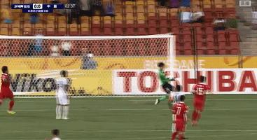 虎冠打一生肖，民间智慧与生肖文化的巧妙融合