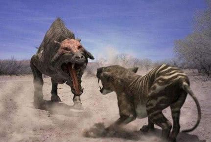 凶猛悍妇与生肖之谜,定量解释的奇妙之旅 凶猛悍妇与生肖之谜,定量解释的奇妙之旅