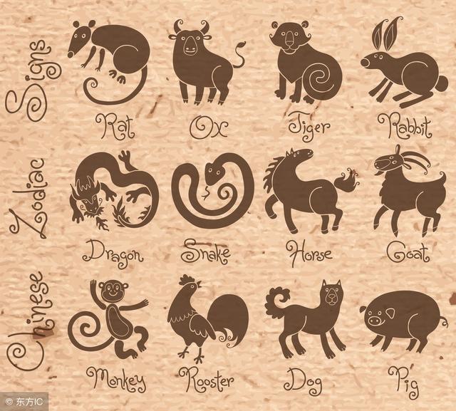 黑补丁打一生肖的谜团与智慧解读