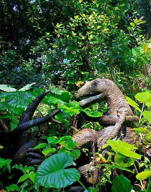 镜子里的成长足迹，小姑娘照镜子与生肖鼠的奇妙联结