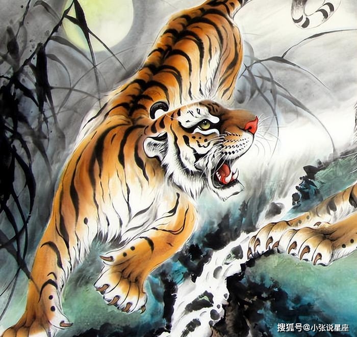 顽打一生肖、与积极行动的完美结合