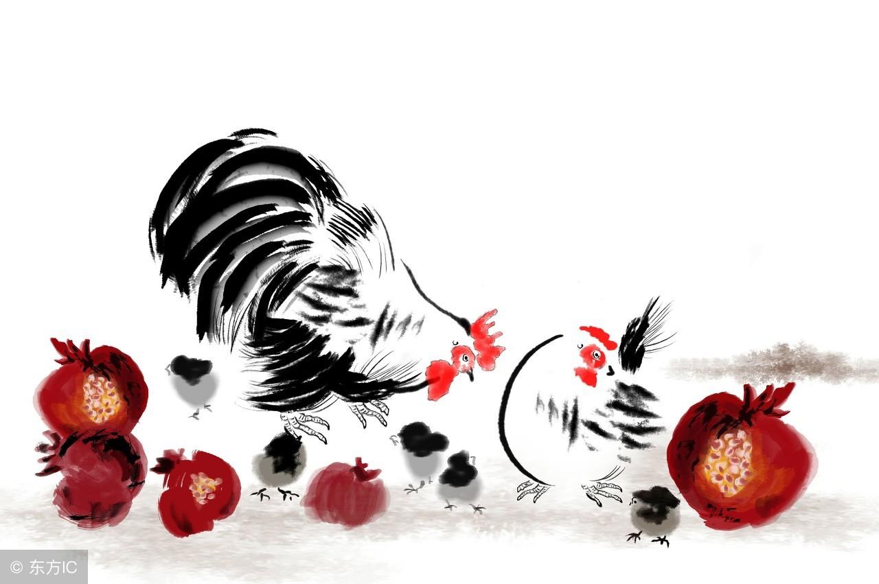 竹篮打水打一生肖、团结解释落实