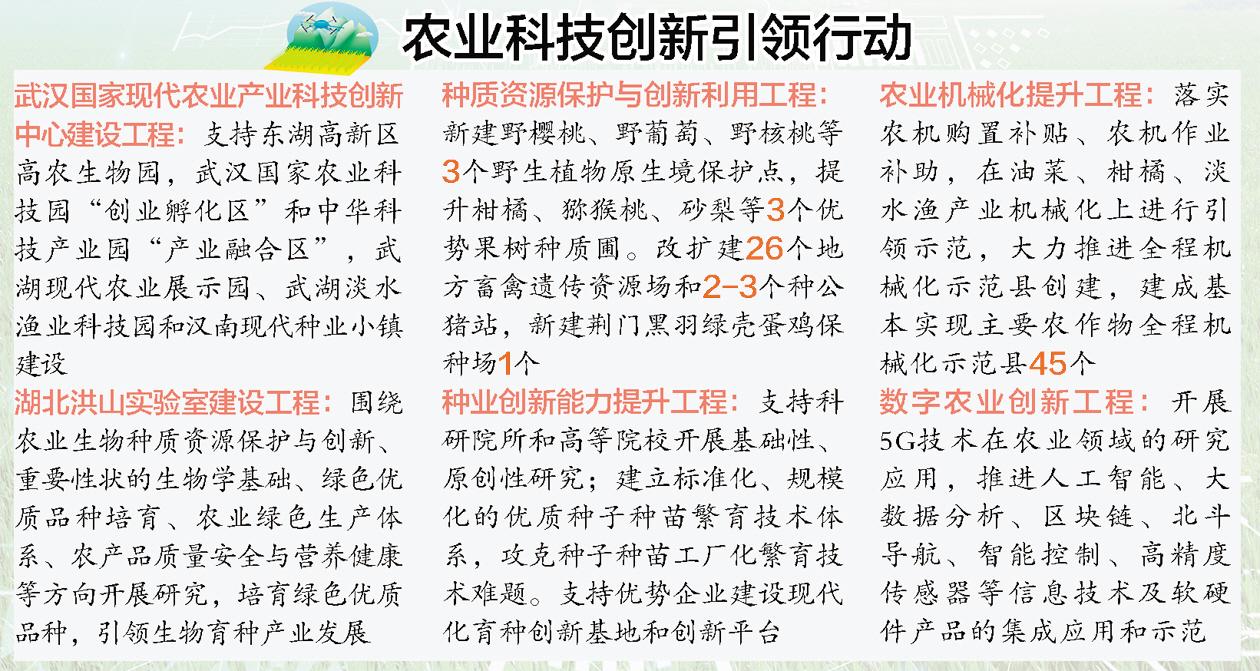 葫芦打一生肖、友爱作答落实解释