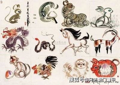 七情六欲与生肖的奇妙碰撞，积极解释与落实的智慧