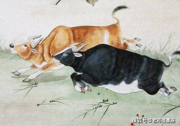 原始股打一生肖、的故事与寓意