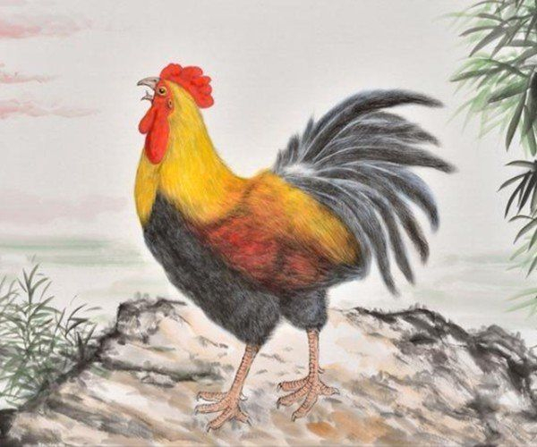 瑞气盈门打一生肖、之谜与人生哲理的深度解析