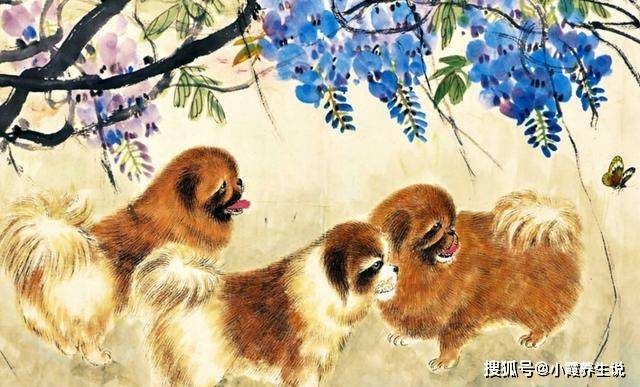 作舍道旁打一生肖、解释与落实的和谐共舞 作舍道旁打一生肖、解释与落实的和谐共舞