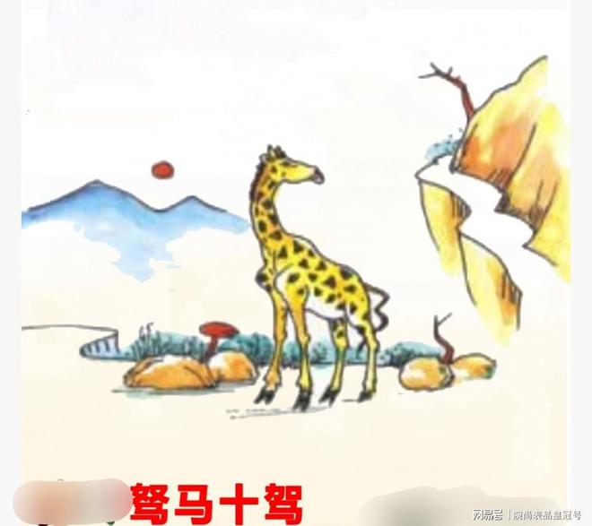 今期生肖迫，四打一肖揭秘