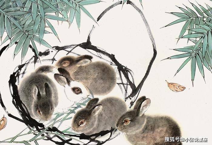 阴凉凉打一生肖，探寻生肖与自然之美的奇妙联系