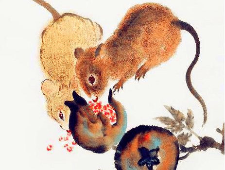 四面楚歌，生肖鼠背后的智慧与策略