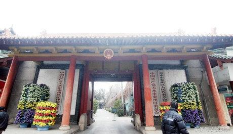 寂然无声打一生肖，鼠—背后的智慧与哲理