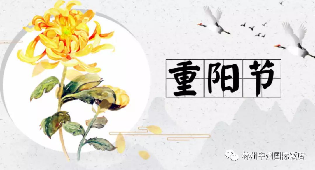 人们敬畏的生肖打一肖、采民作答落实解释