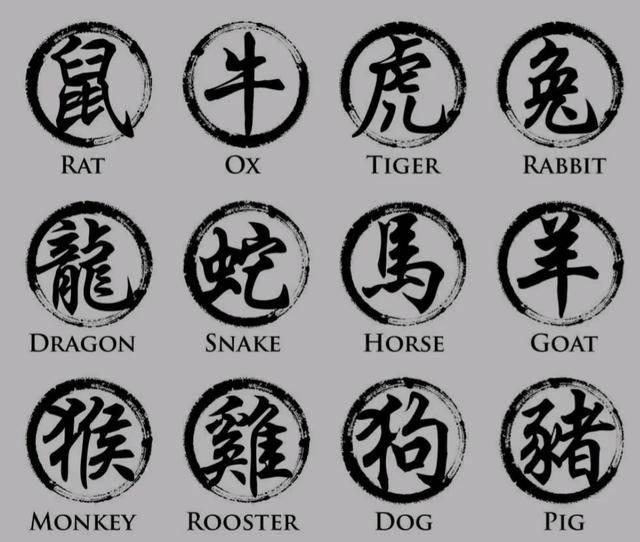 发号施令的生肖打一肖、词语的深层释义与文化解读