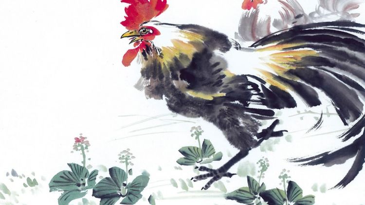 天马行空打一生肖鸡、神秘解释落实