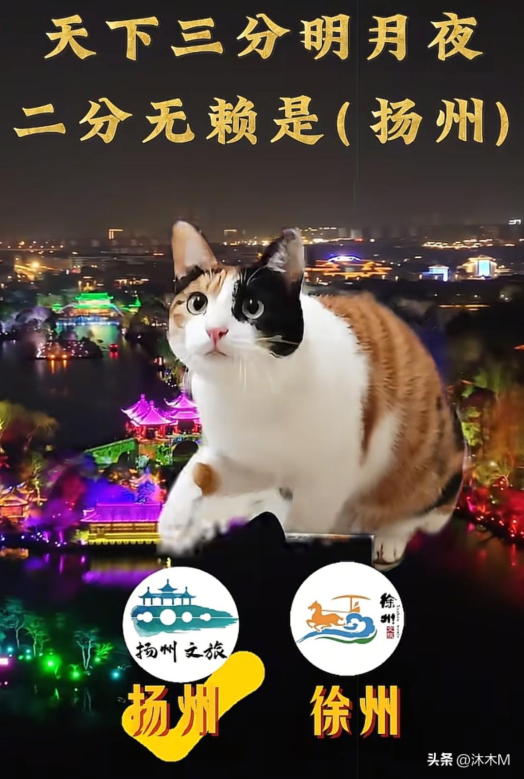 扬州打一生肖、正确解释与落实