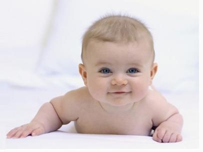 短命之物打一生肖、发现作答落实解释