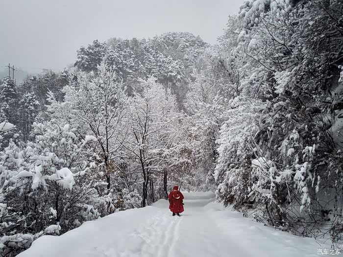 鹅毛大雪打一动物生肖、落实相信的解释 鹅毛大雪打一动物生肖、落实相信的解释