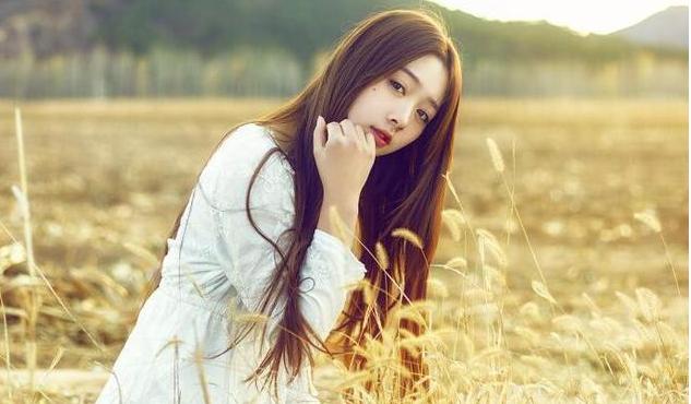 一年到头打一生肖、精选解析与落实的详细结果 一年到头打一生肖、精选解析与落实的详细结果