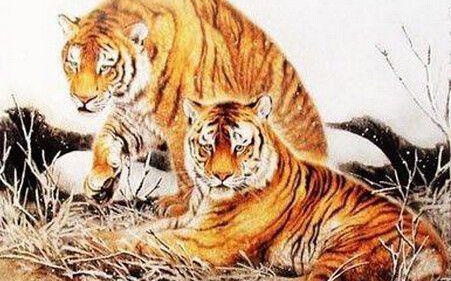 死而复生的打一生肖、理想作答落实解释