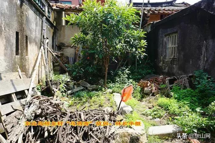 三个秀才讲读书打一生肖、通常作答落实解释