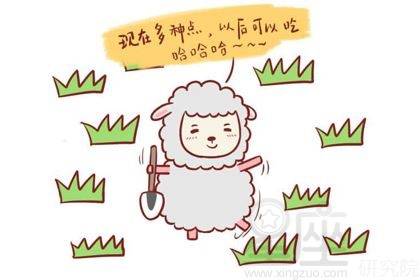 会跳舞打一生肖、定量解释落实