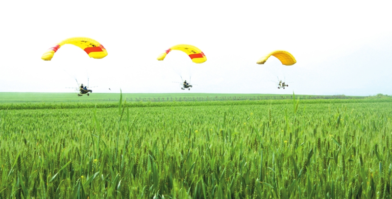 田野耕地打一生肖、时代解释落实