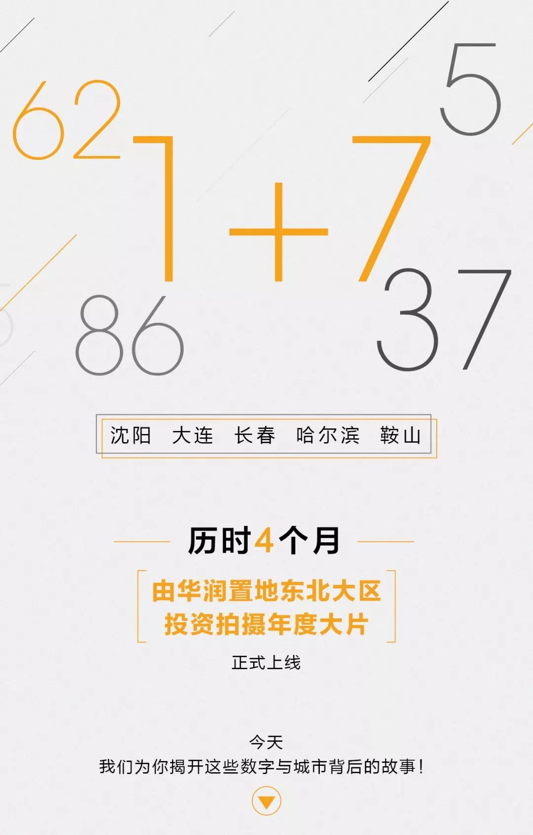 生肖之光，揭秘有金光背后的生肖奥秘与精选解析