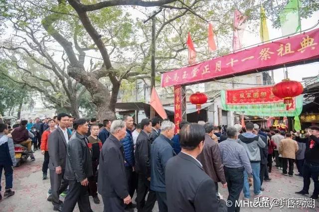 金马玉堂之谜，生肖揭秘与精选解析的详细结果