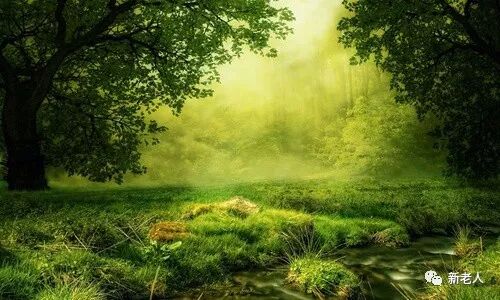 风和日丽打一准确生肖、背后的智慧与哲理