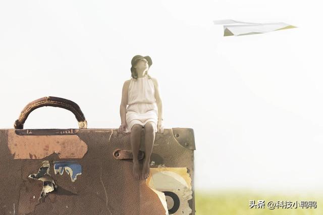 飞来横福打一生肖、真相解释落实