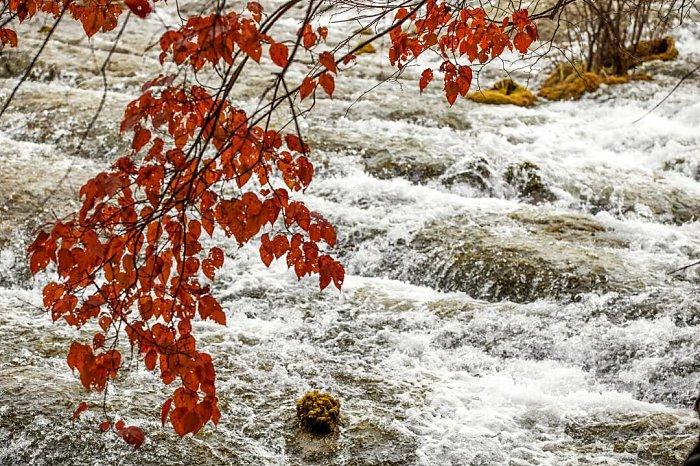 惊天动地，生肖之舞与积极转变的交响曲
