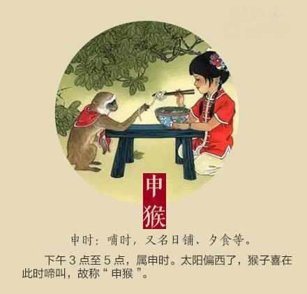 礼尚往来，生肖中的温馨解析与文化解答