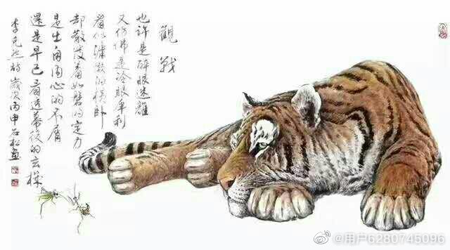 谷打一生肖，智慧与行动的交响曲